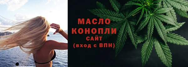 молекула духа Волоколамск