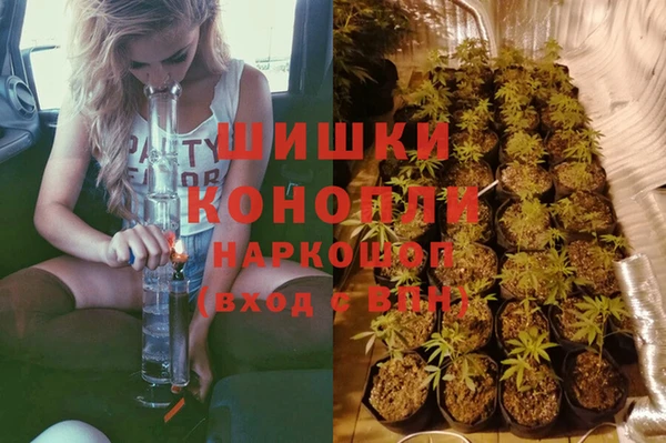 молекула духа Волоколамск