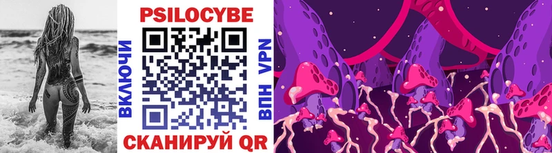 blacksprut зеркало  наркошоп  площадка официальный сайт  Псилоцибиновые грибы мицелий  Камешково 